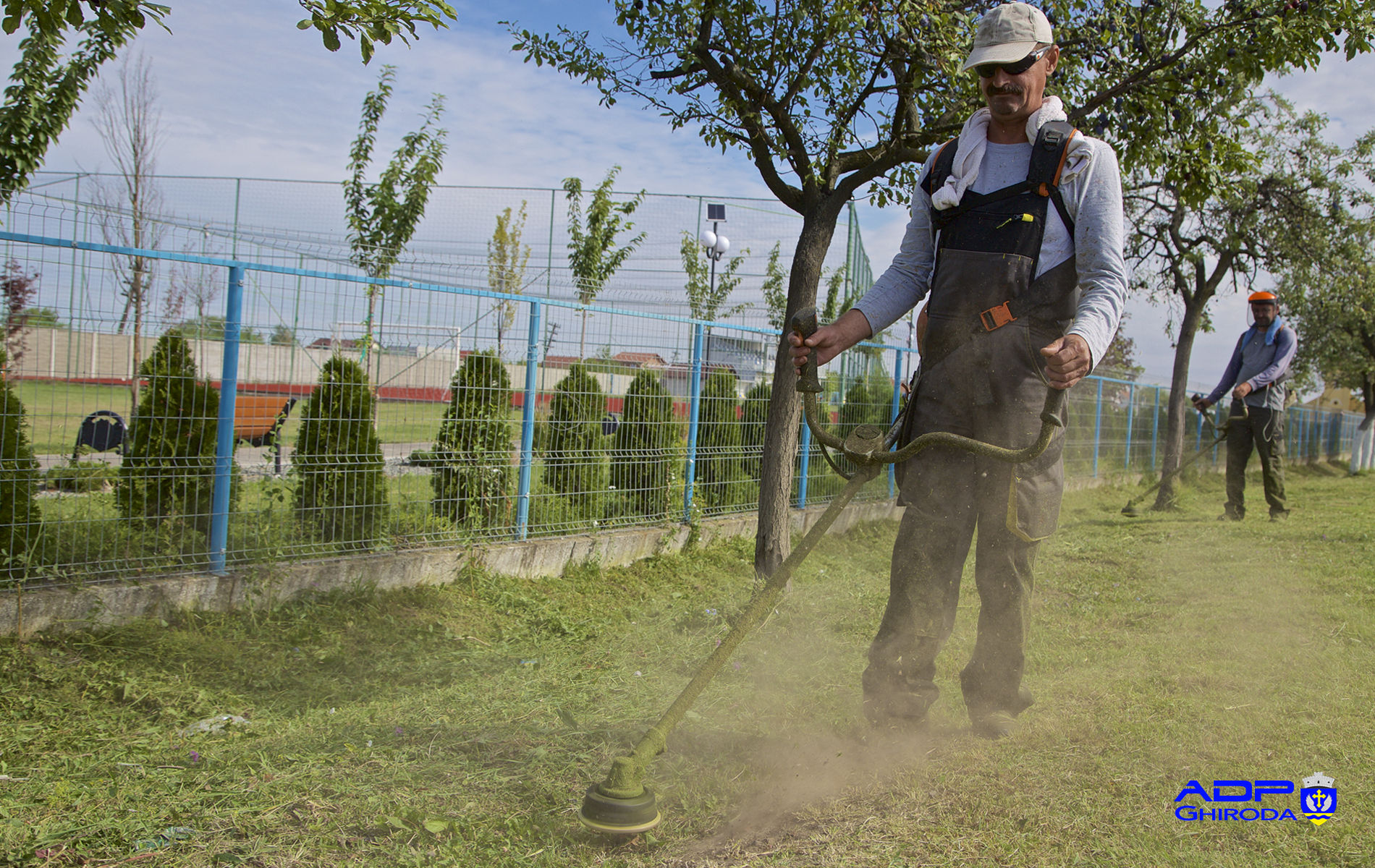 Întreținere spații verzi